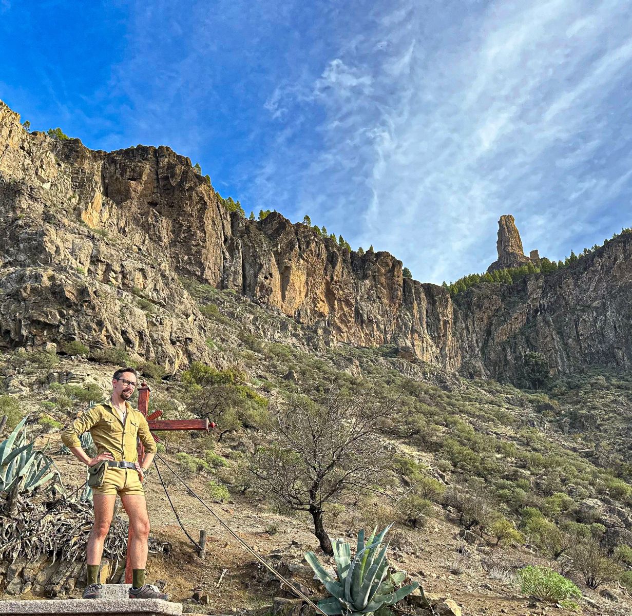 D9FC9E78-EF10-4A71-94D8-39E0CBDD5196