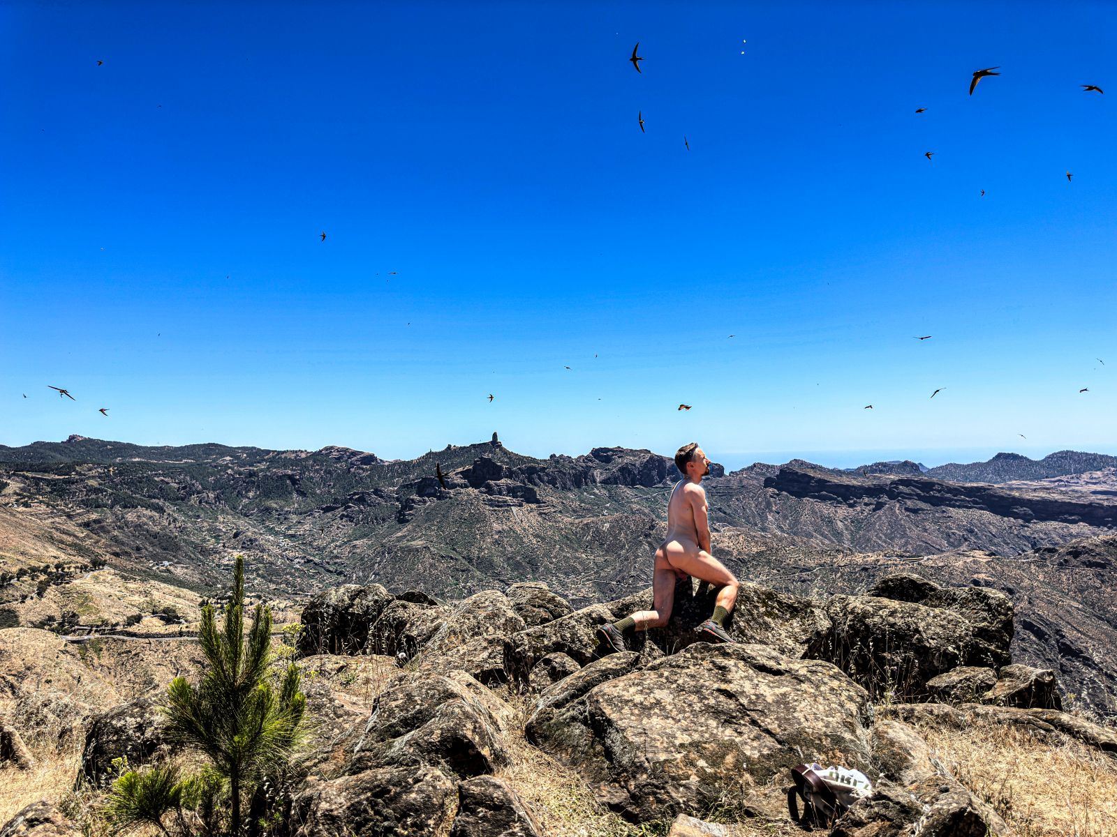 F390D35A-661A-4F9C-85EE-5AA16A96C9C2