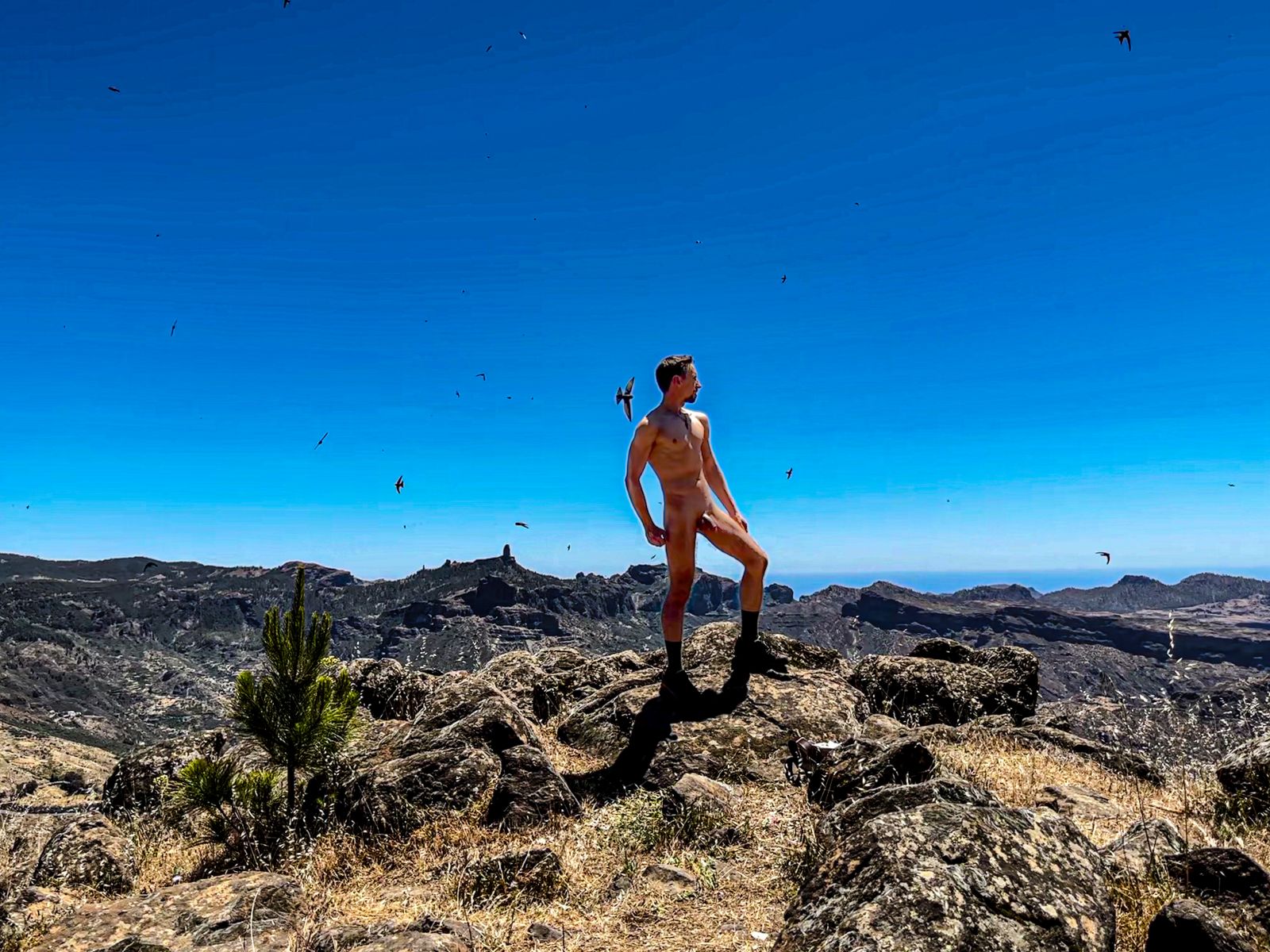 F82443D0-7291-422D-ADA8-8FAC61E7E8B1