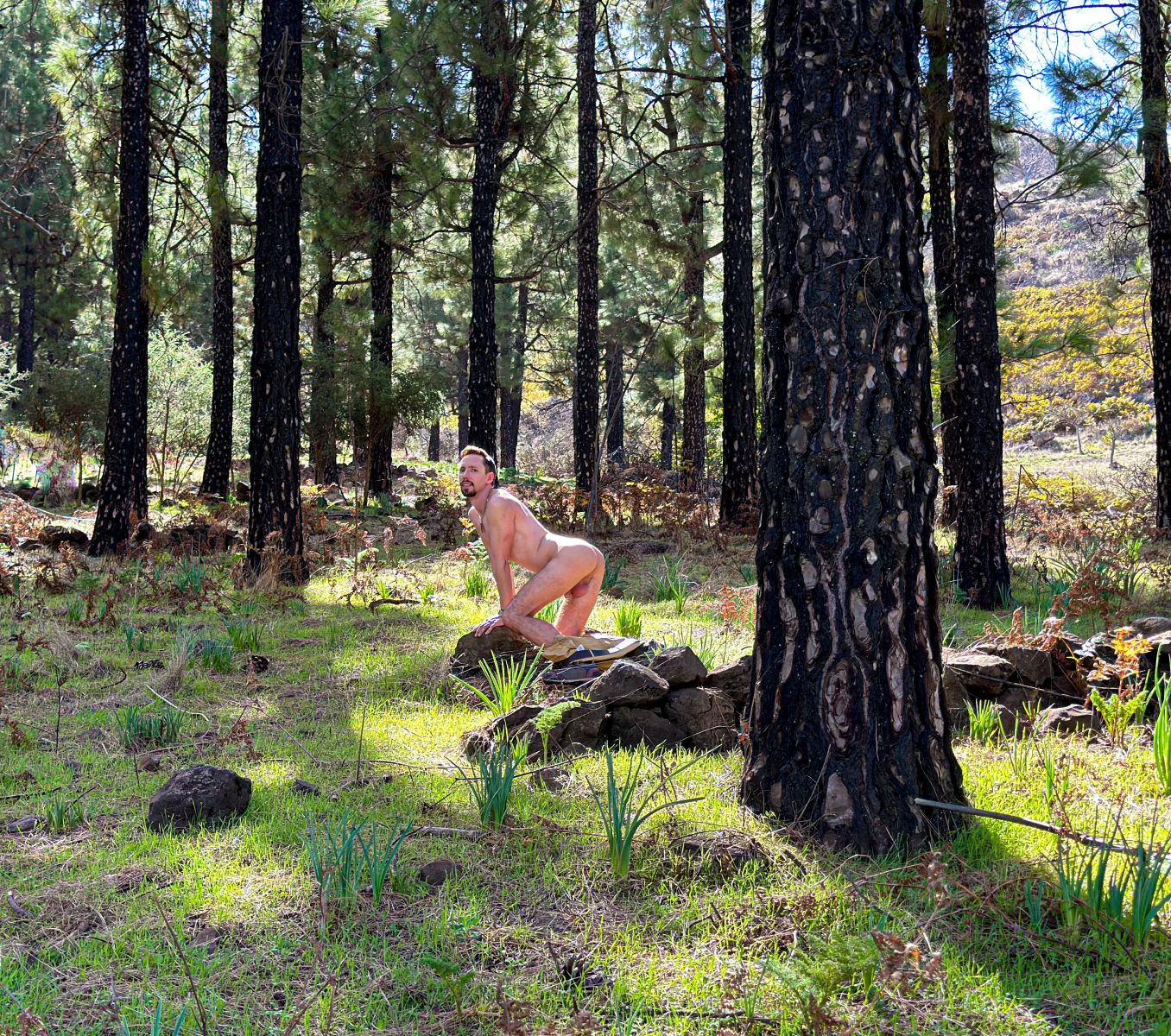 FE1CF8AC-7DB4-4133-A6DD-3F7C528429B3